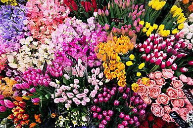 《最终幻想7：重生》制作人透露正在调整发售时期