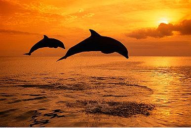 黑白日本武士砍杀游戏《黄泉之旅》公开游玩预告